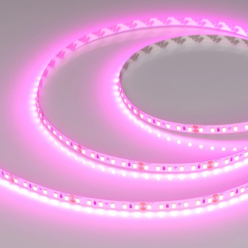 Лента светодиодная RT-A120-8mm 24V Magenta (9.6 W/m, IP20, 2835, 5m) (Arlight, -)