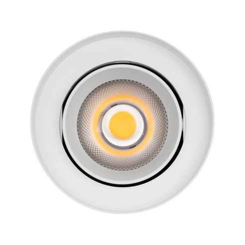 Светильник SP-FOCUS-R110-18W Day4000 (WH, 50 deg, 230V) (Arlight, IP54 Металл, 5 лет)