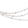 Лента светодиодная NT-A60-8mm 12V Warm2700 (4.8 W/m, IP20, 3528, 5m) (Arlight, Открытый)