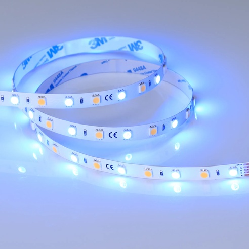 Лента RT-B60-10mm 24V RGBW-Day (14.4 W/m, IP20, 5m) (Arlight, Открытый)