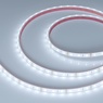 Лента светодиодная герметичная RTW-PFS-A60-11mm 12V White6000 (4.8 W/m, IP68, 2835, 5m) (Arlight, -)