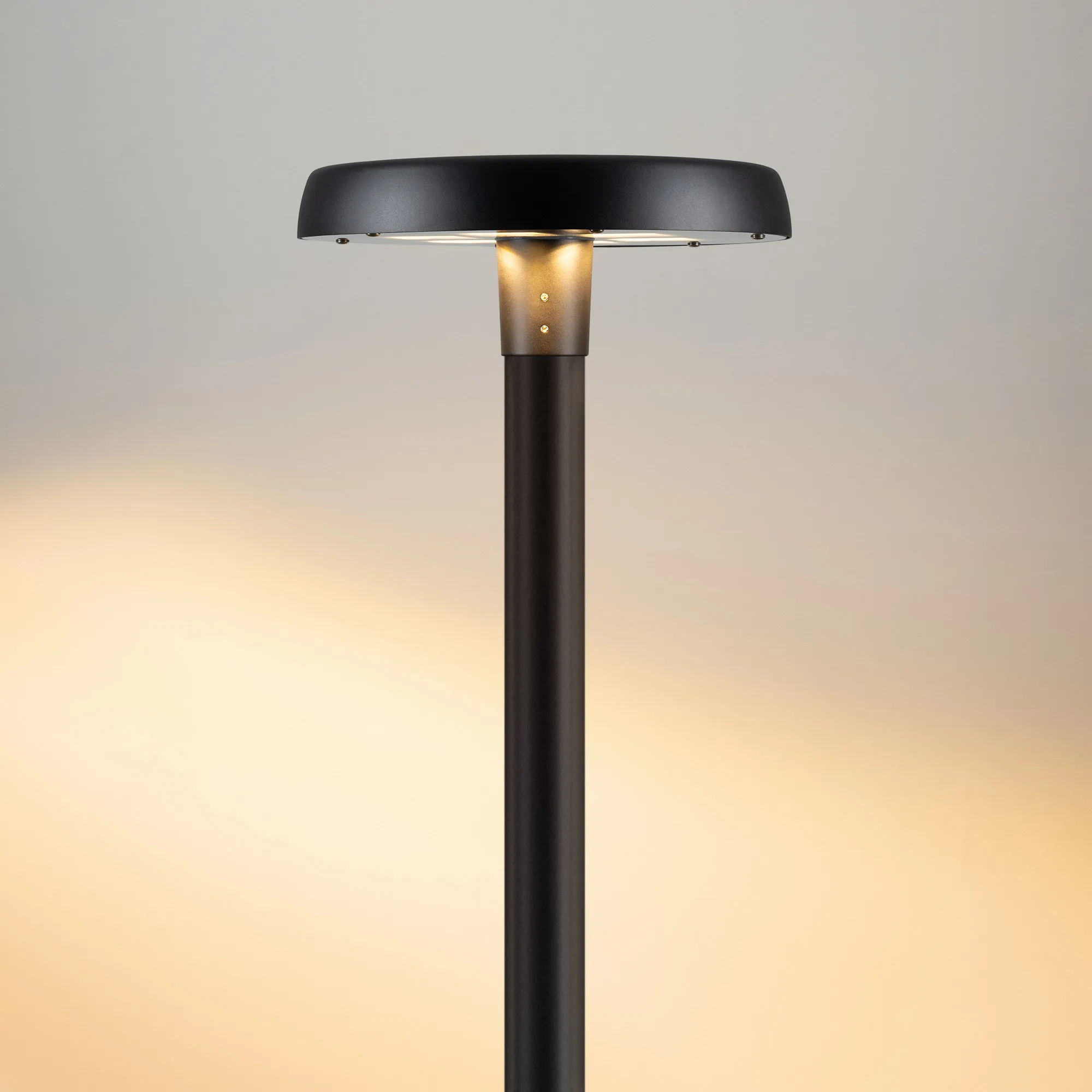 Светильник ALT-CAN-50W Warm2700 (BK, 140 deg, 230V) (Arlight, IP65 Металл, 5 лет)