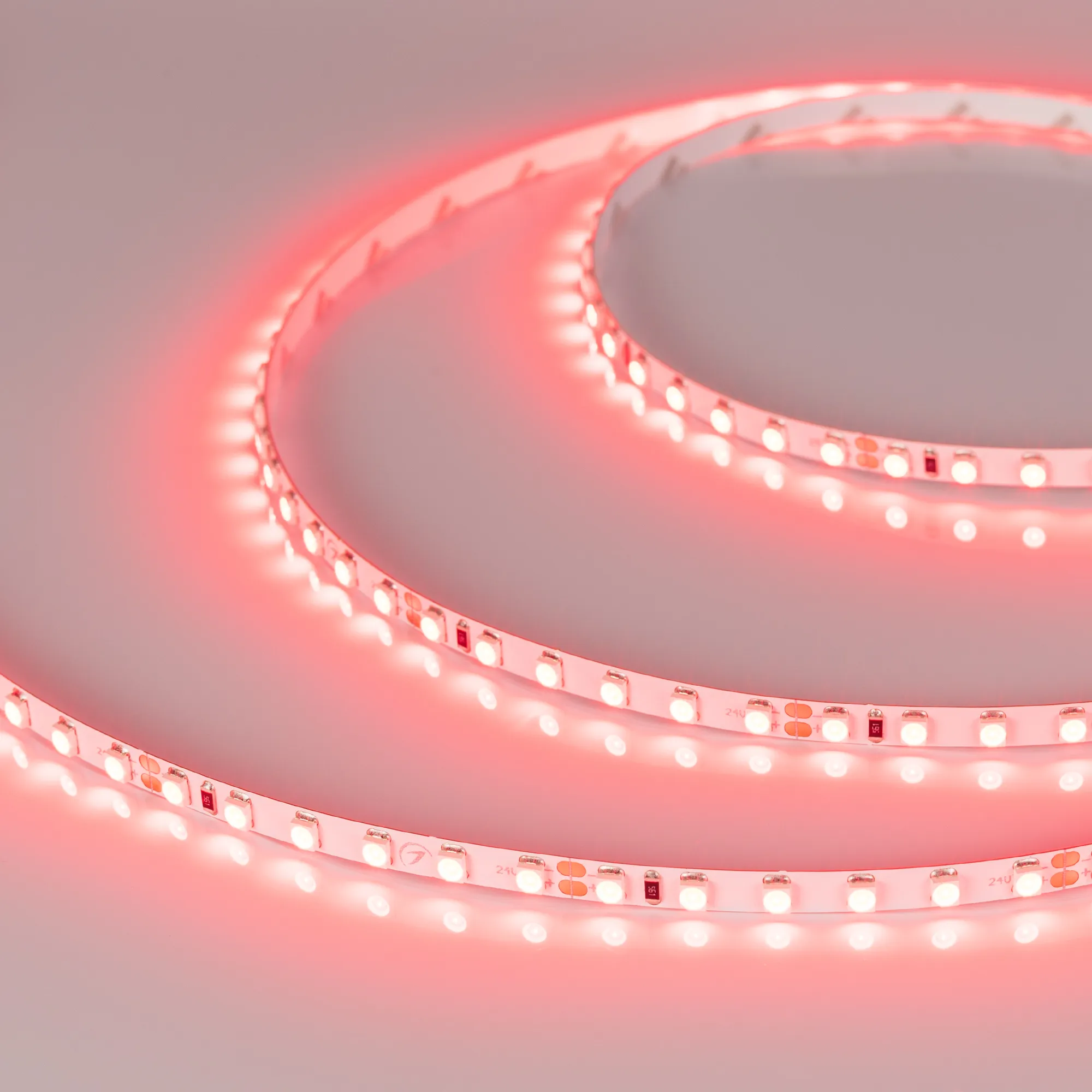 Лента светодиодная RT-A120-5mm 24V Red (9.6 W/m, IP20, 2835, 5m) (Arlight, 9.6 Вт/м, IP20) - изображение товара
