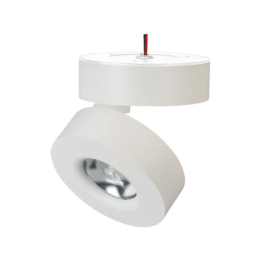 Светильник SP-MONA-SURFACE-R100-12W Warm3000 (WH, 24 deg) (Arlight, IP40 Металл, 3 года) - изображение товара