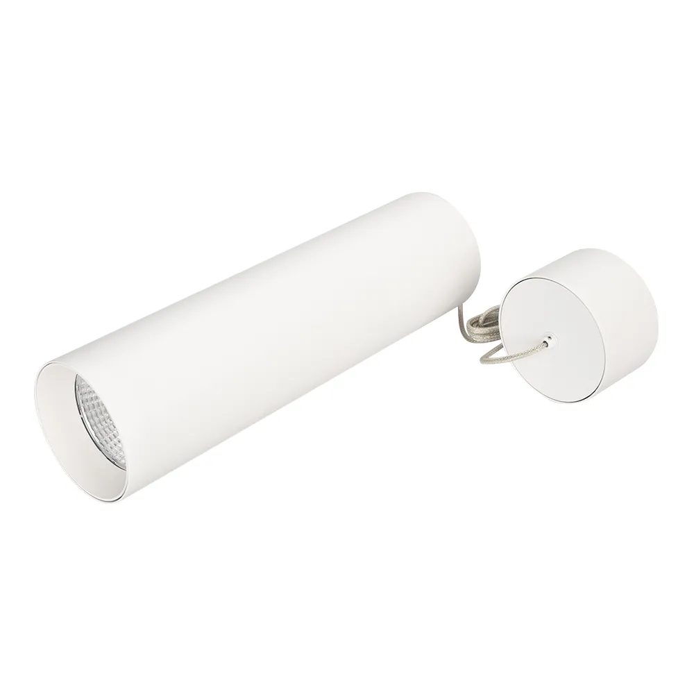 Светильник SP-POLO-HANG-LONG300-R85-15W Warm3000 (WH-WH, 40 deg) (Arlight, IP20 Металл, 3 года) - изображение товара